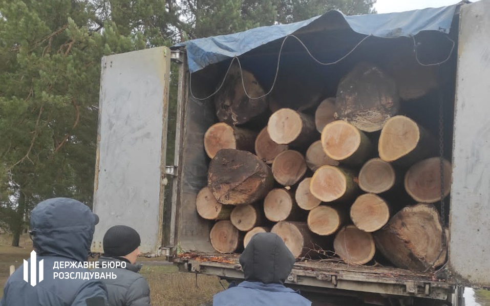 Незаконно зрубали дубів на 1 мільйон гривень: на Львівщині викрили угрупування з лісників і підприємців (ВІДЕО)