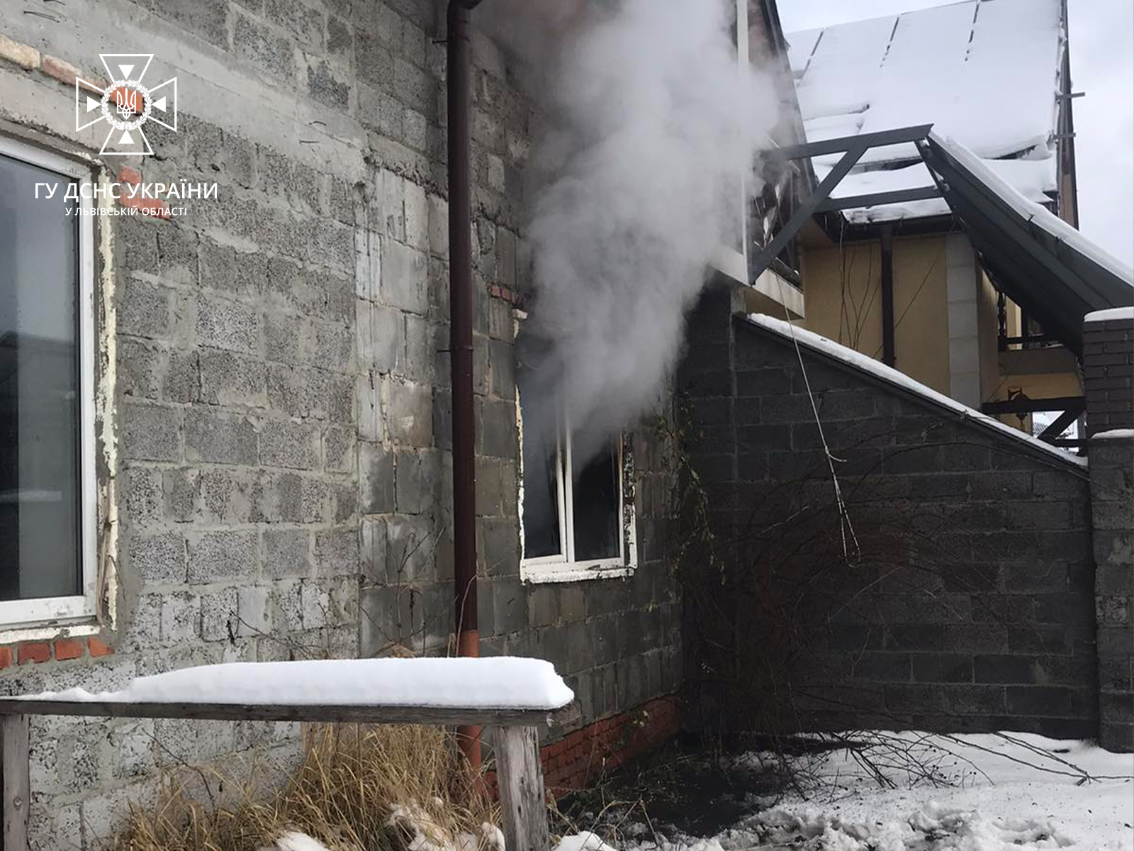 Врятували чоловіка і кота: неподалік Львова сталась пожежа в житловому будинку