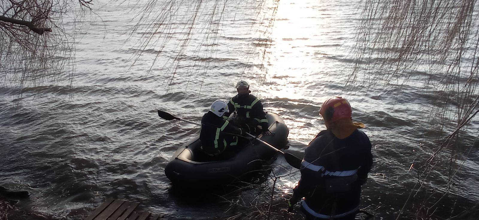 На озері в Городку лебідь заплутався в рибальській сітці і ледь не загинув