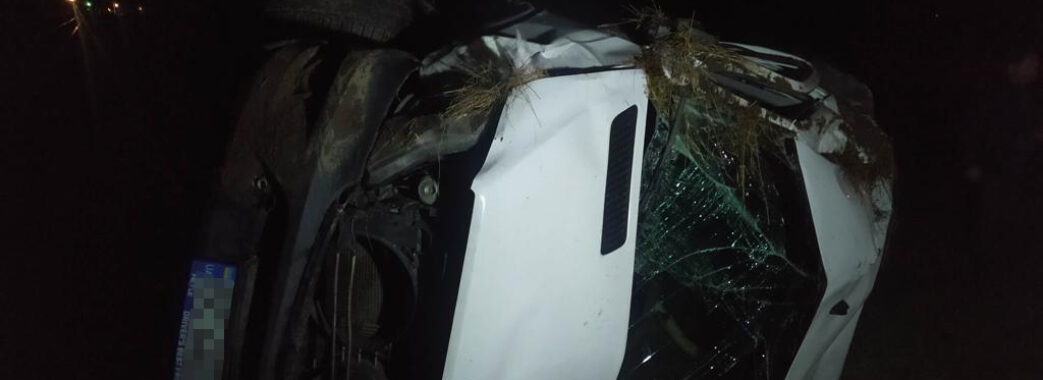 Поліція досі встановлює особу жінки, яку на смерть збило авто на Самбірщині