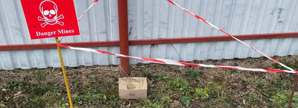 В селі на Самбірщині люди сортували картоплю і знайшли гранату