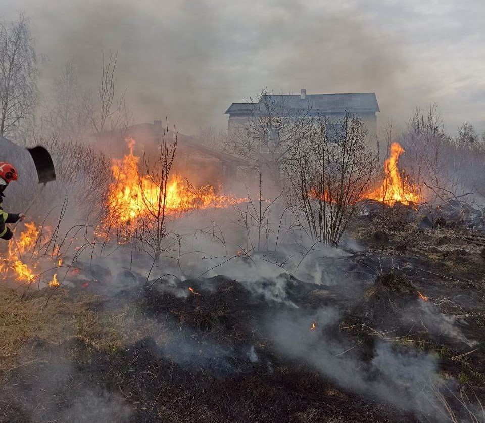 За минулу добу палії сухостою знищили понад 5 гектарів землі