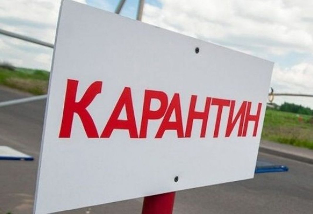В селі на Дрогобиччині запровадили карантин через виявлений у собаки сказ