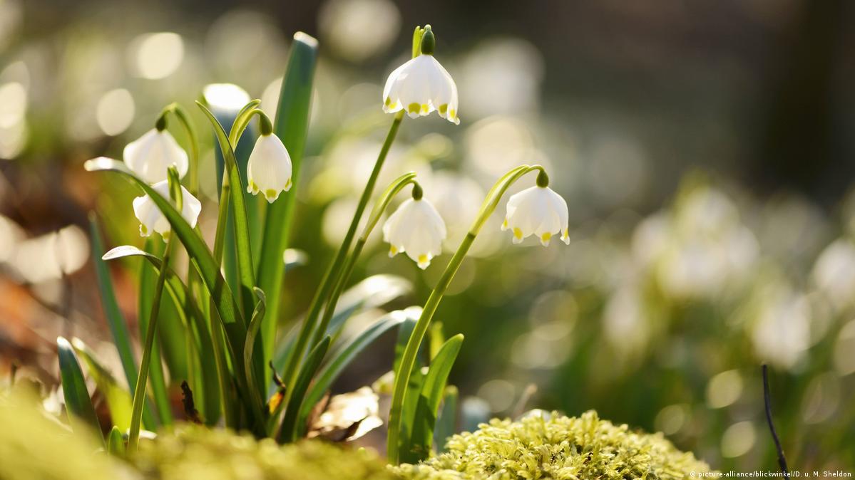 Синоптики прогнозують на Львівщині завтра до 7° тепла