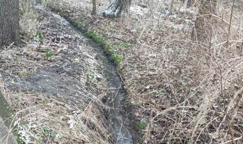 У селі біля Львова люди через саморобну канаву спускали стічні води у заказник