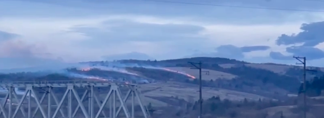 Старосамбірські гори у вогні: невідомі попри заборону масово спалюють сухостій