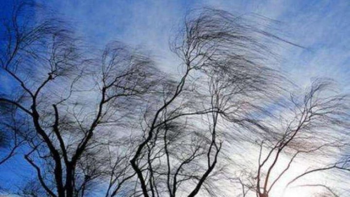 Якою буде погода у Львові завтра: синоптики попереджають про пориви вітру