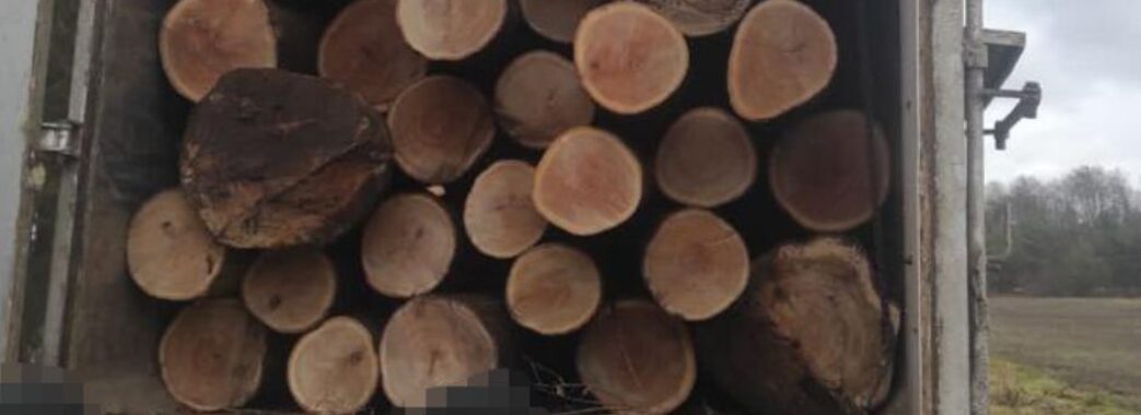 Посадовці «Львівського лісового господарства» незаконно зрубали і продали деревини на майже 4 ільйони гривень