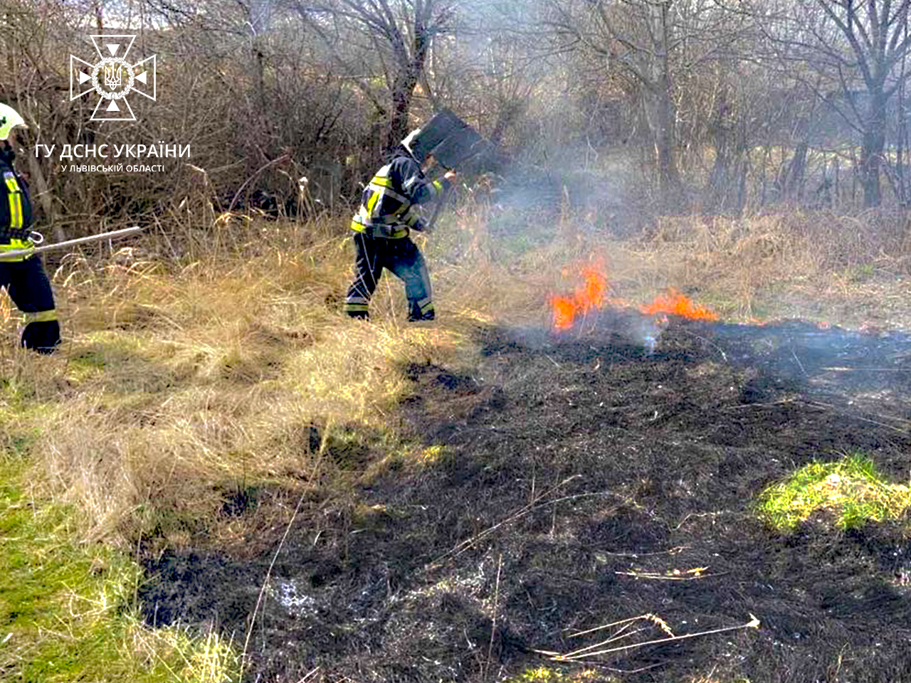 Рятувальники Львівщини за добу гасили пожежі сухостою в 11 населених пунктах