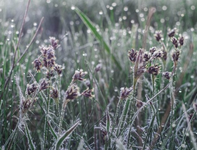 Від 7° морозу до 7° тепла: прогноз львівських синоптиків на завтра