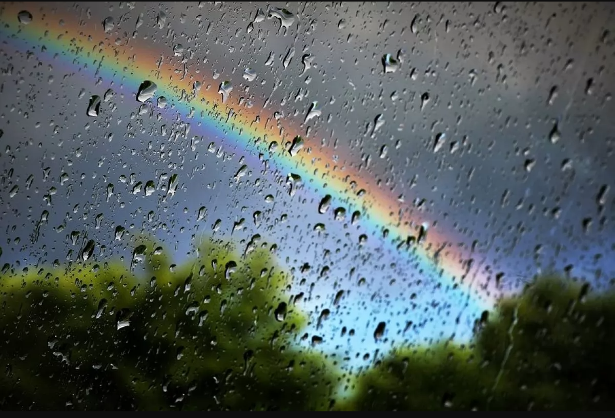 Синоптики прогнозують завтра на Львівщині до 14° тепла і дощ