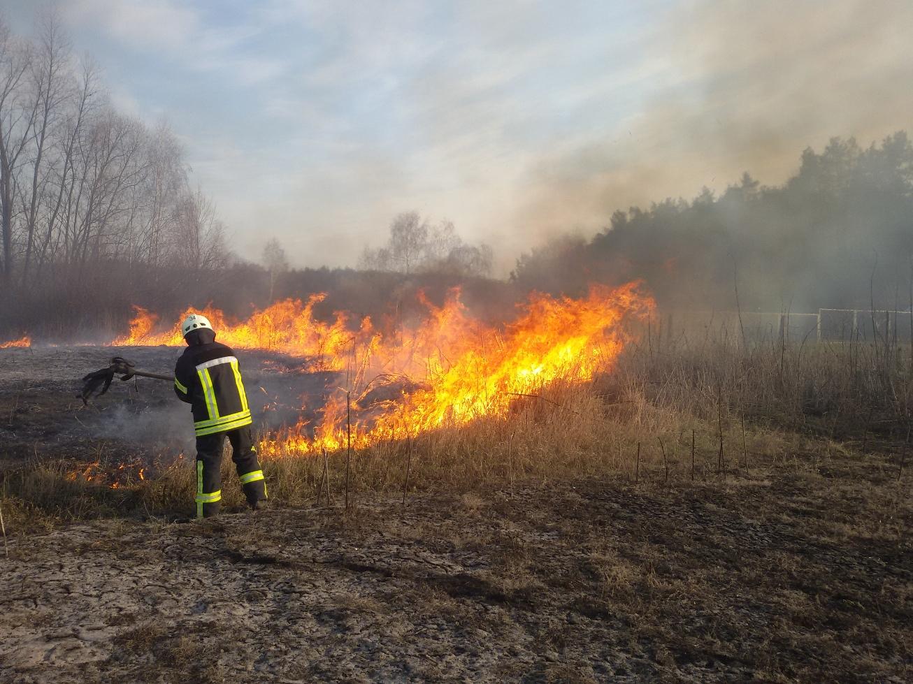 На Львівщині активізувались палії сухостою: за добу вони спалили пів гектара землі