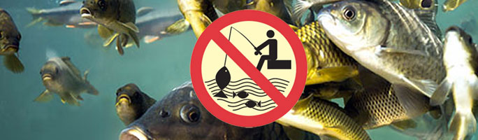 Рибалиш – сплати штраф: на Львівщині екоінспектори виявили перших порушників нерестової заборони