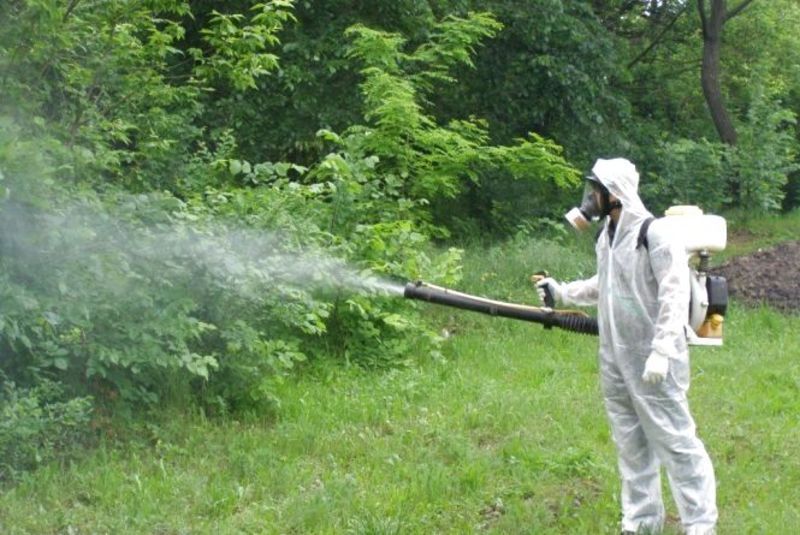 Наступного тижня львівські парки оброблятимуть від кліщів: графік