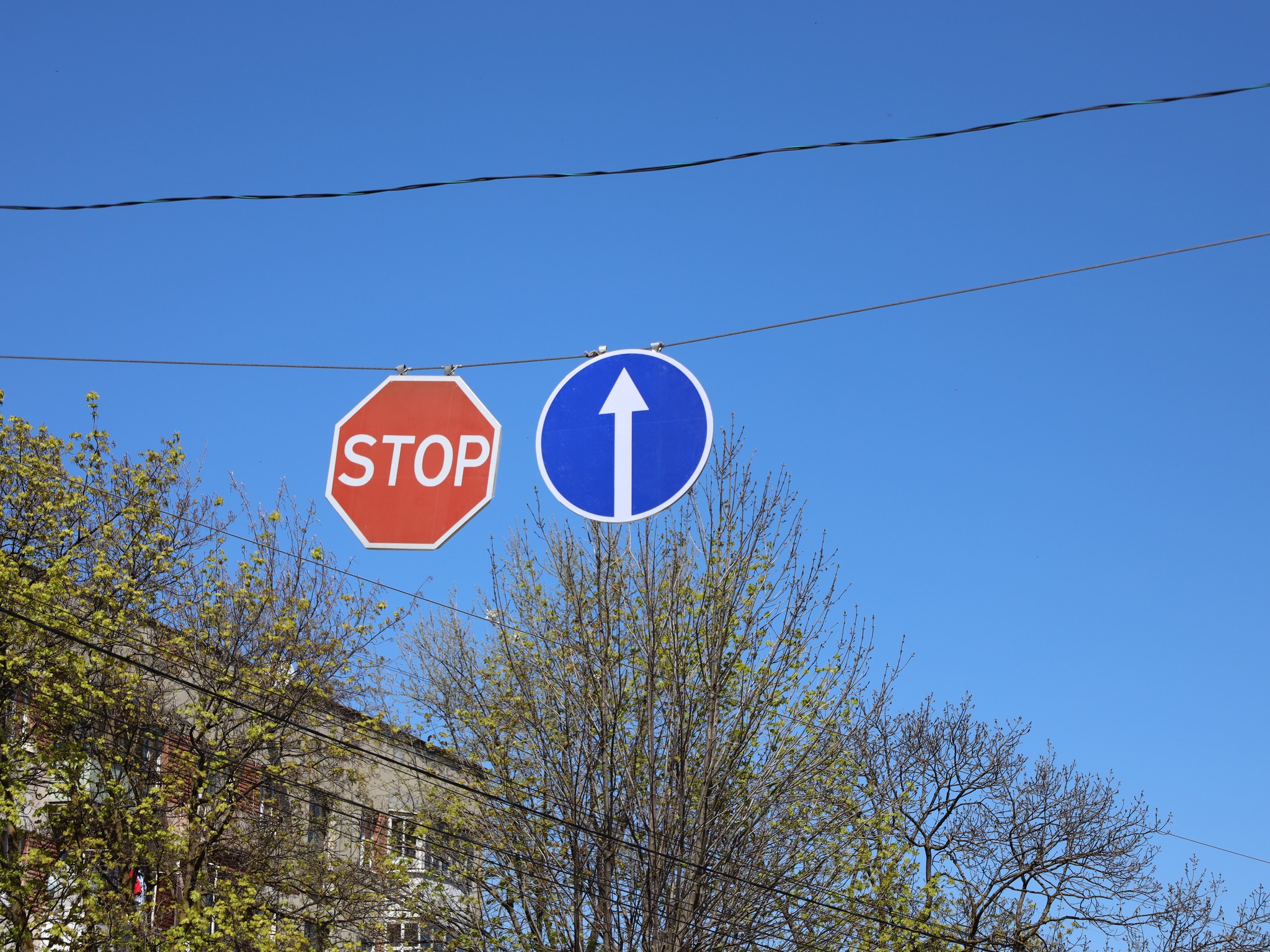 Водіїв попереджають про нові дорожні знаки у Бориславі