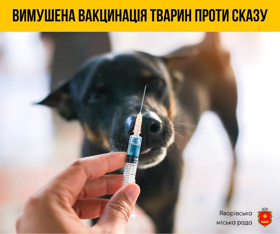 На Яворівщині виявили сказ: в чотирьох селах проведуть вимушену вакцинацію