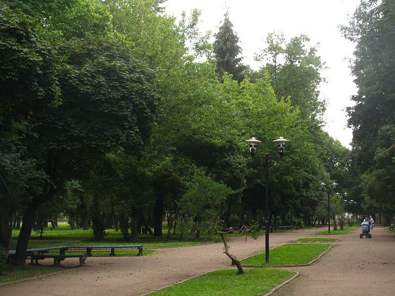 На Левандівці знайшли повішеним на дереві 33-річного чоловіка