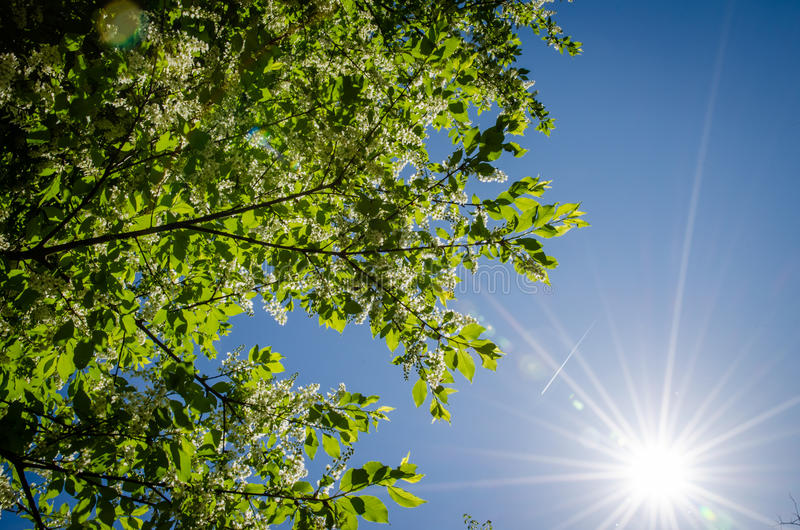 Теплим та хмарним: яким буде наступний тиждень на Львівщині
