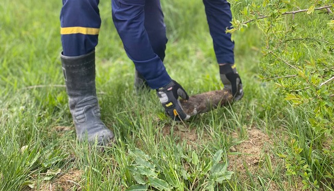 В Яворові на території приватного господарства знайшли 9 боєприпасів
