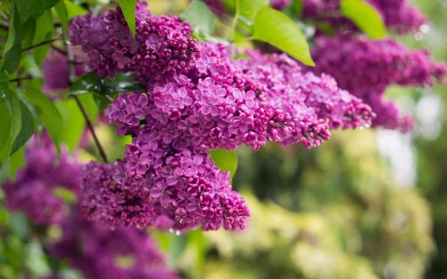 До 23 градусів тепла: синоптики розповіли, якою буде погода завтра на Львівщині