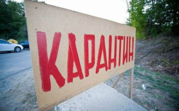 У Бориславі ввели карантин через виявлений сказ у собаки та лисиці