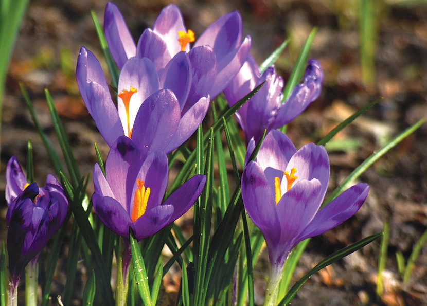 До 24 градусів тепла: синоптики розповіли, якою буде погода завтра на Львівщині