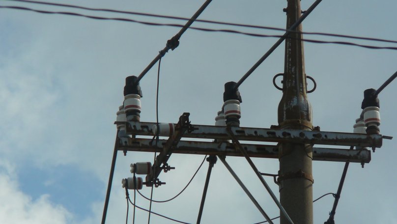 На Львівщині від ураження струмом з обірваного дроту загинула 9-річна дівчинка