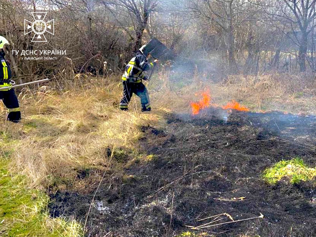 В суботу на Львівщині вогнеборці загасили 11 пожеж сухостою