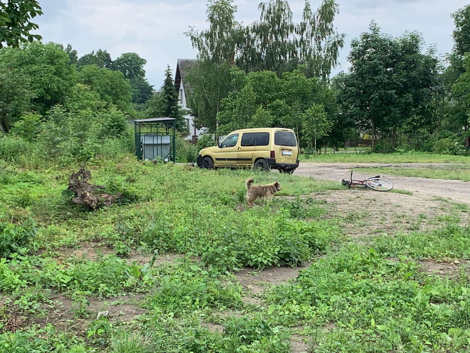 На Яворівщині п’яний водій серед білого дня збив двох літніх жінок