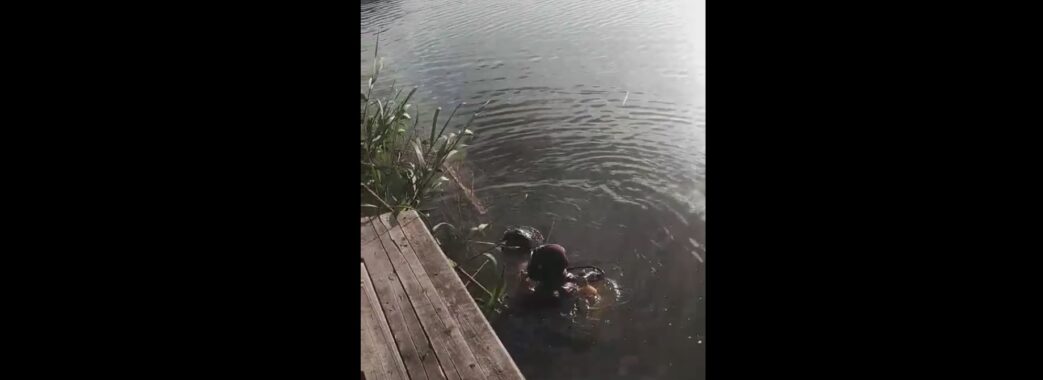 В озері на Самбірщині втопився 27-річний чоловік (ВІДЕО)