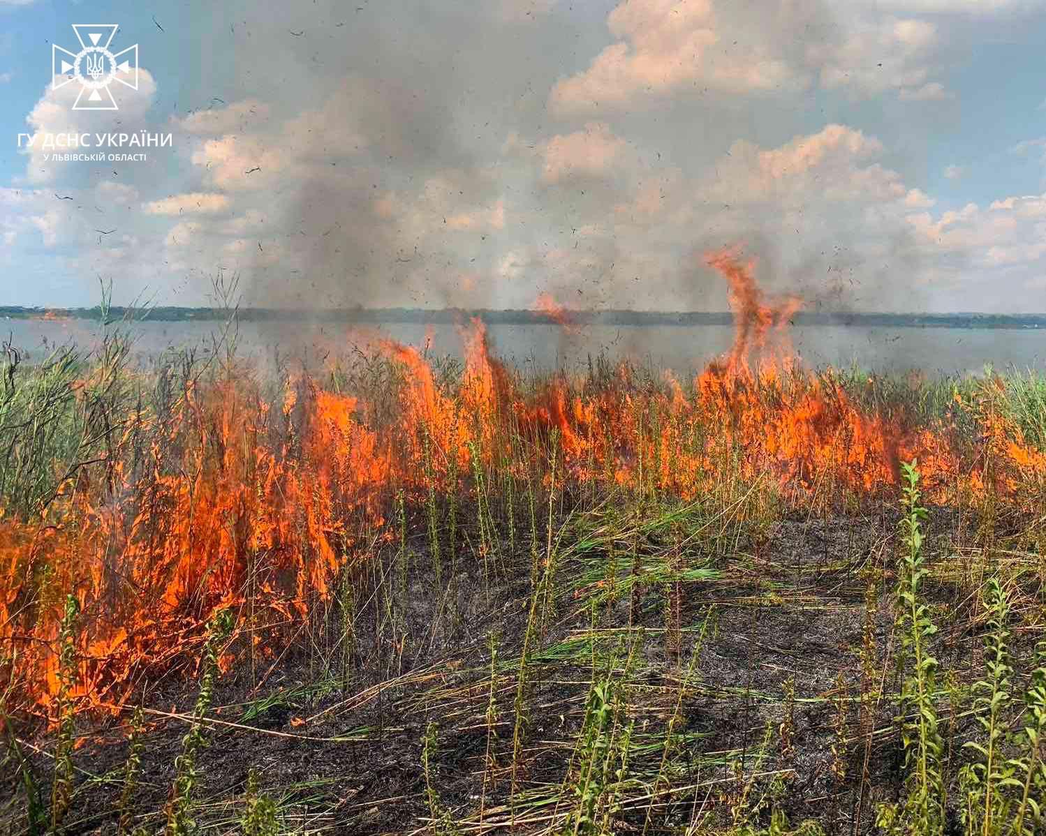 Синоптики попередили про високу пожежну небезпеку на завтра на Львівщині