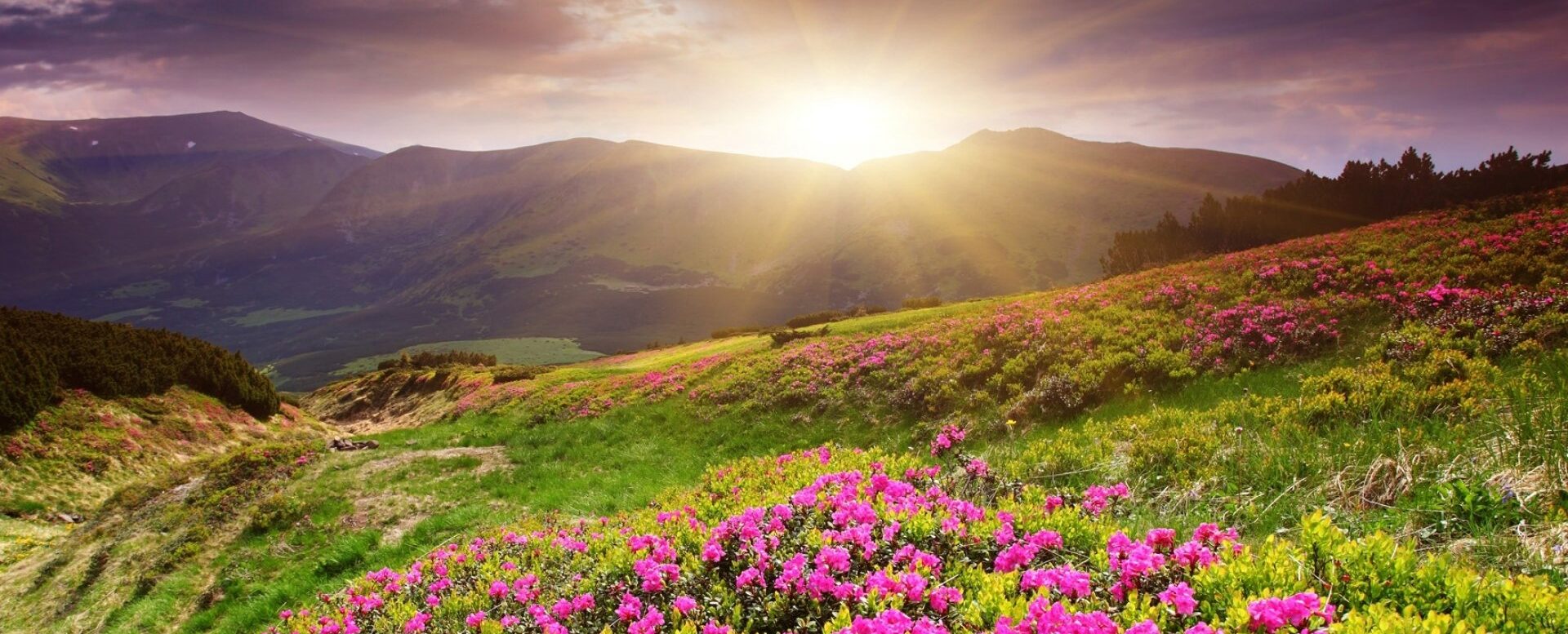 Мінлива хмарність і майже без дощу: синоптики розповіли якою буде погода 10 липня