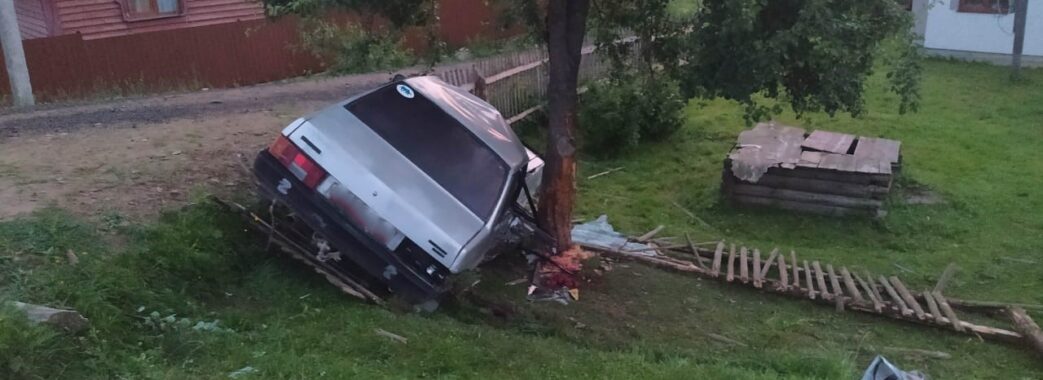 На Самбірщині автомобіль злетів з дороги і врізався в дерево: водій загинув