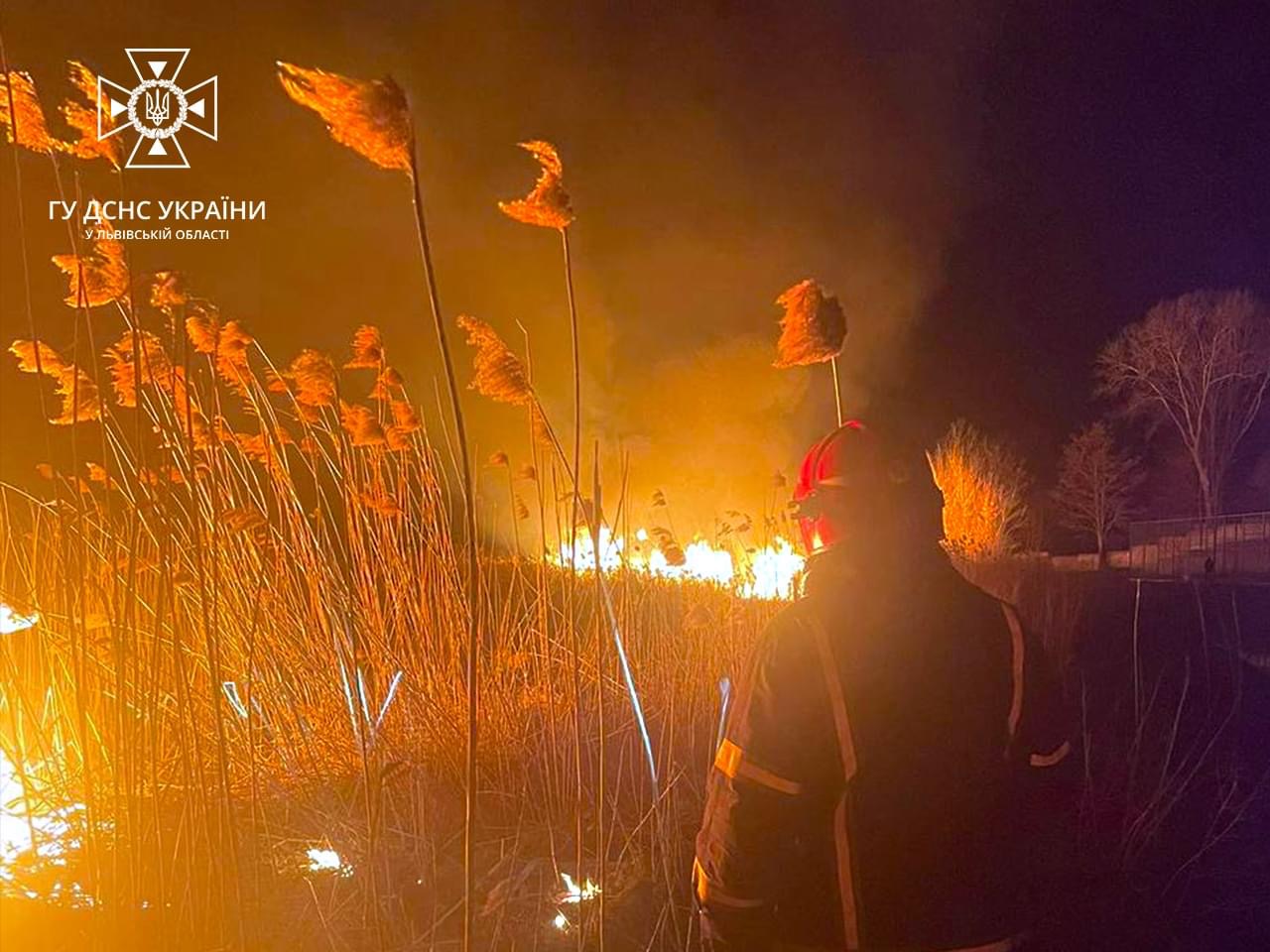 На Львівщині пожежна небезпека: за добу рятувальники двічі виїжджали на гасіння сухостою