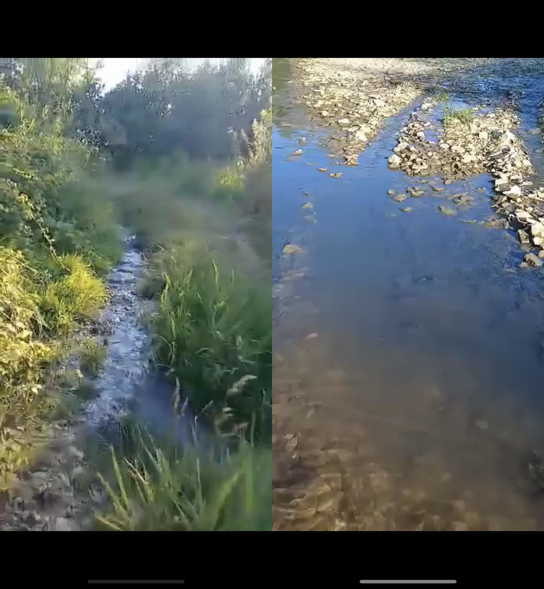 Влада бреше, а люди страждають: в Хирові каналізаційні стоки далі течуть у річку