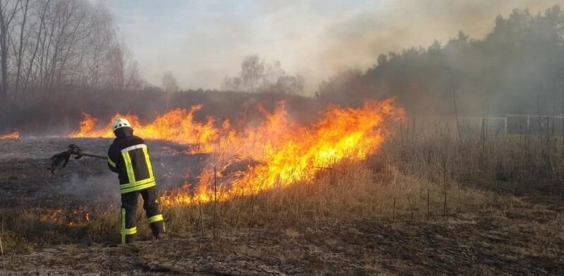 За минулу добу найбільше підпалів сухої трави зафіксували у Львові та Львівському районі