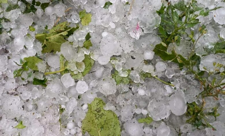 Грози і град: якою буде погода на Львівщині в останній день літа