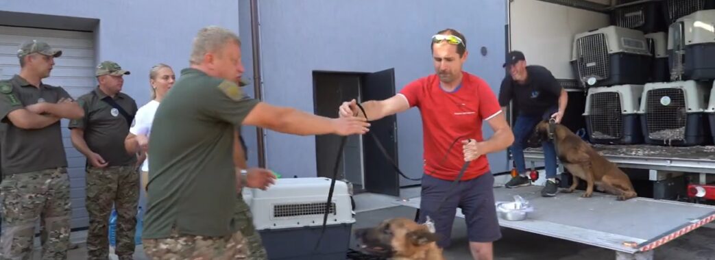 До Львова приїхали ще 24 службові собаки, які допомагатимуть під час розмінування