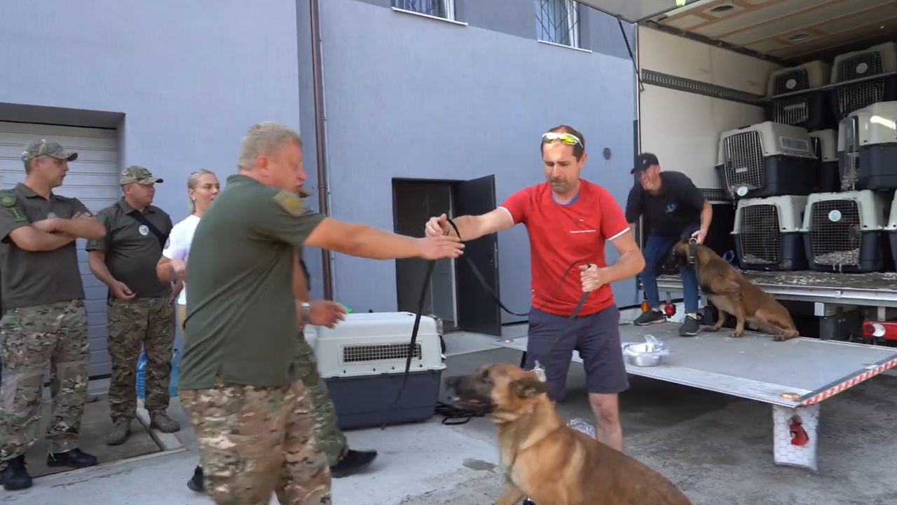 До Львова приїхали ще 24 службові собаки, які допомагатимуть під час розмінування