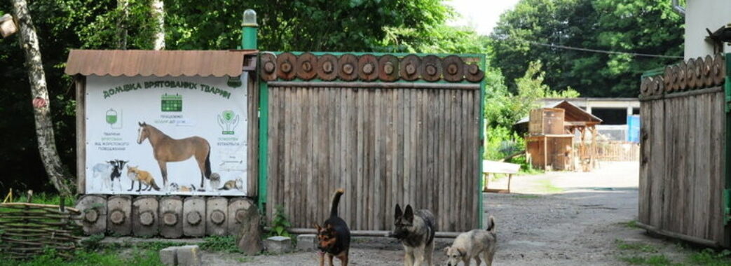 Львів’ян закликають допомогти «Домівці врятованих тварин»