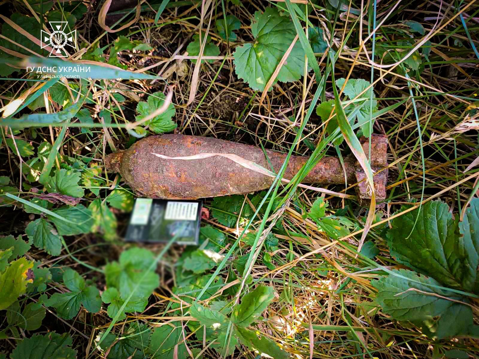 На Золочівщині, під час копання могили, знайшли застарілий боєприпас