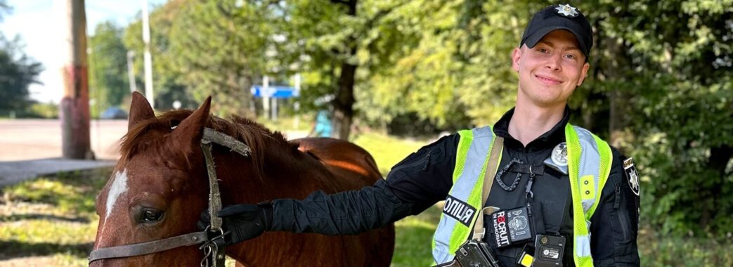 Львівські патрульні повернули власнику коня, який бігав міжнародною трасою
