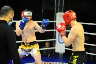 На Львівщині розпочались Національні змагання з кікбоксингу