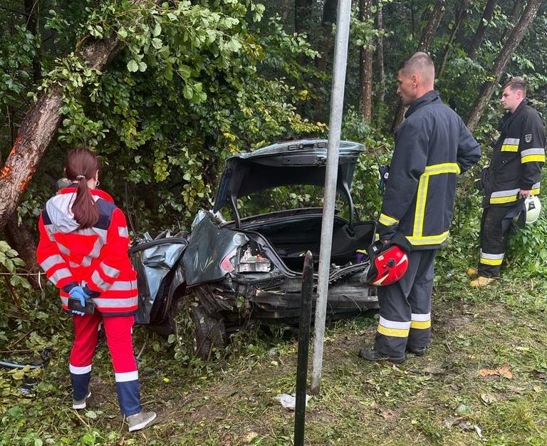 Біля Львова водій “Mersedes” на швидкості влетів в дерево: двоє загиблих