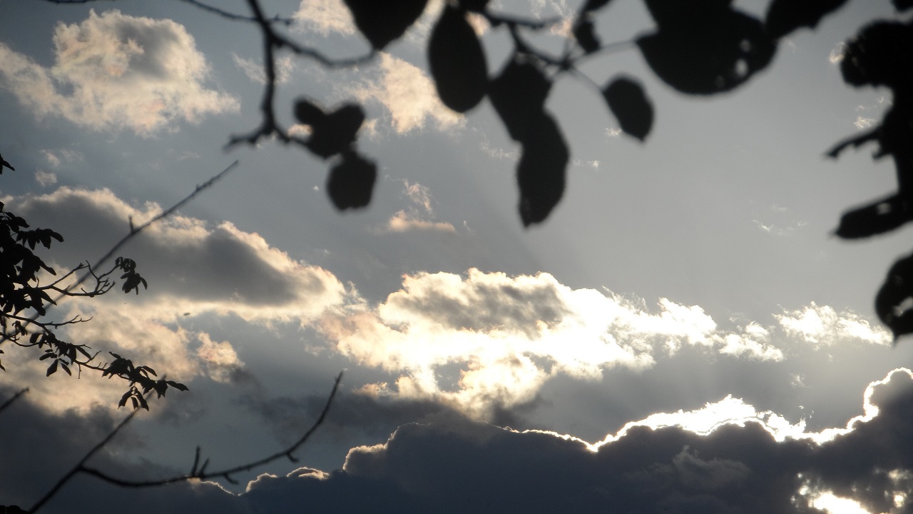 Синоптики розповіли, якою буде погода 6 вересня на Львівщині