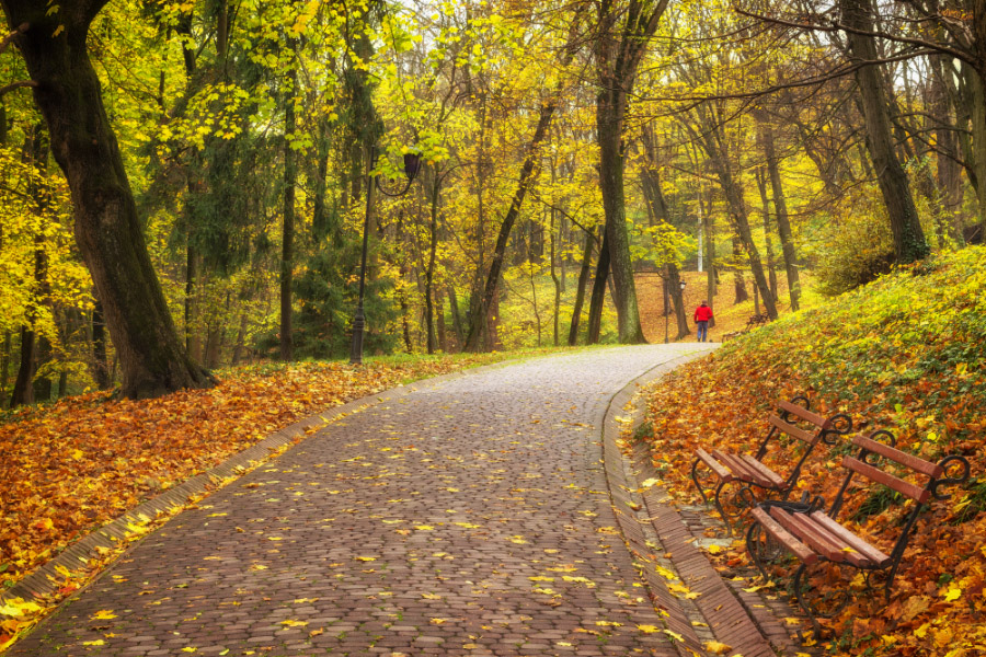 Синоптики розповіли, якою буде погода завтра на Львівщині