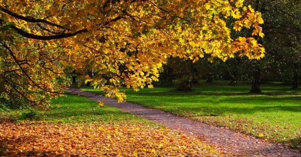 Синоптики розповіли, якою буде погода завтра на Львівщині