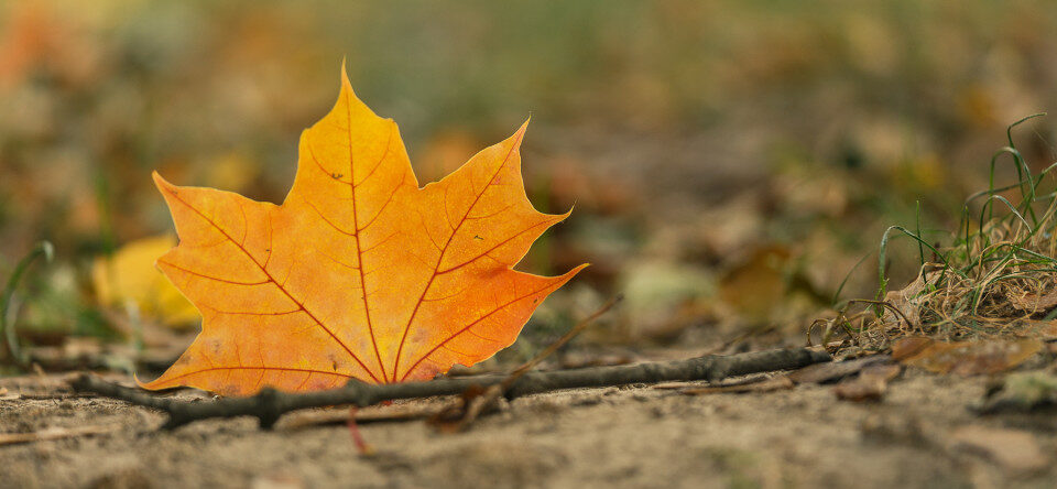 Синоптики розповіли, якою буде погода у другий день осені