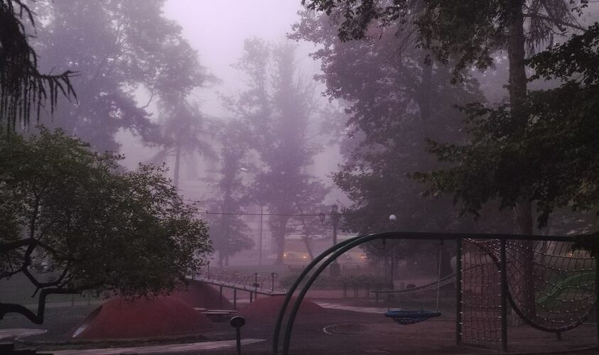 Львівські синоптики прогнозують густий туман на ранок понеділка