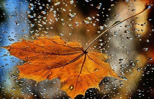 Львів‘ян застерігають про погіршення погодніх умов: буде гроза та туман